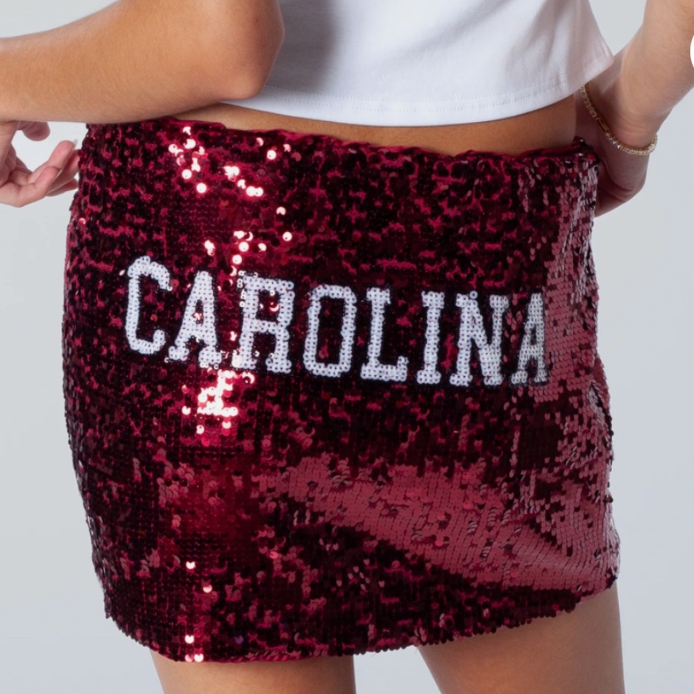 Carolina Sequin Skirt, Brand is Hype and Vice, Size XL